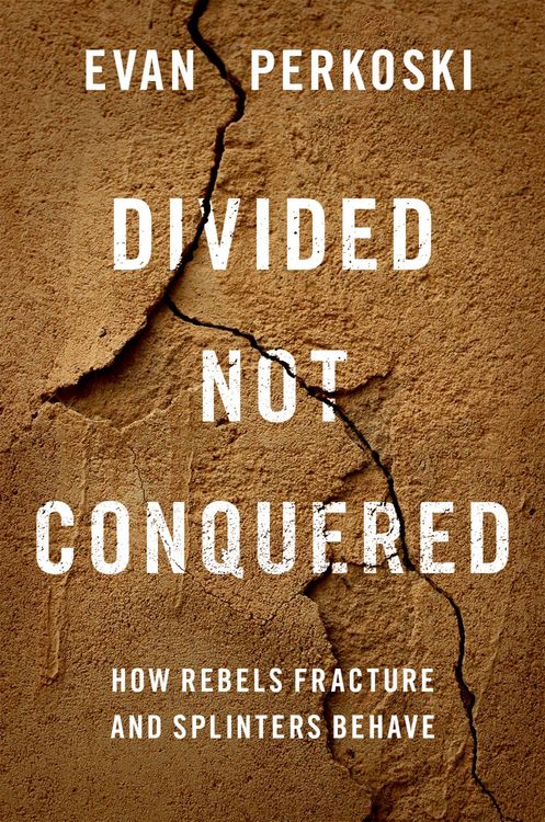Produktbild: Divided Not Conquered