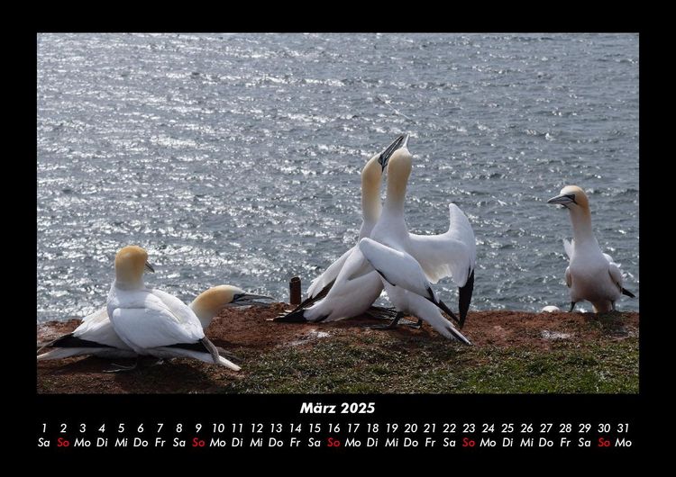 Produktbild: Die Seen der Erde 2025 Fotokalender DIN A3