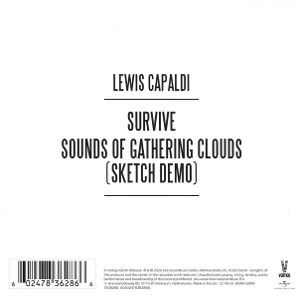 Produktbild: Survive (#3)