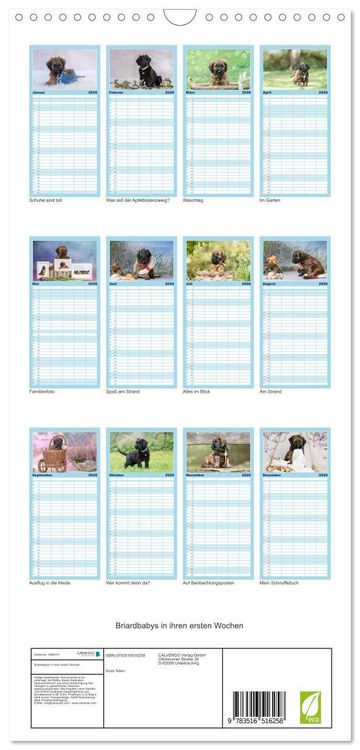 Produktbild: Familienplaner 2026 - Briardbabys in ihren ersten Wochen mit 5 Spalten (Wandkalender, 21 x 45 cm) CALVENDO