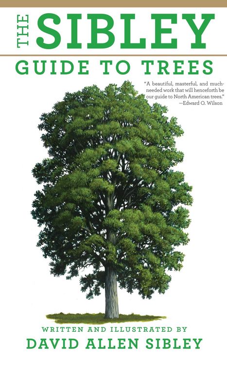 Produktbild: The Sibley Guide to Trees