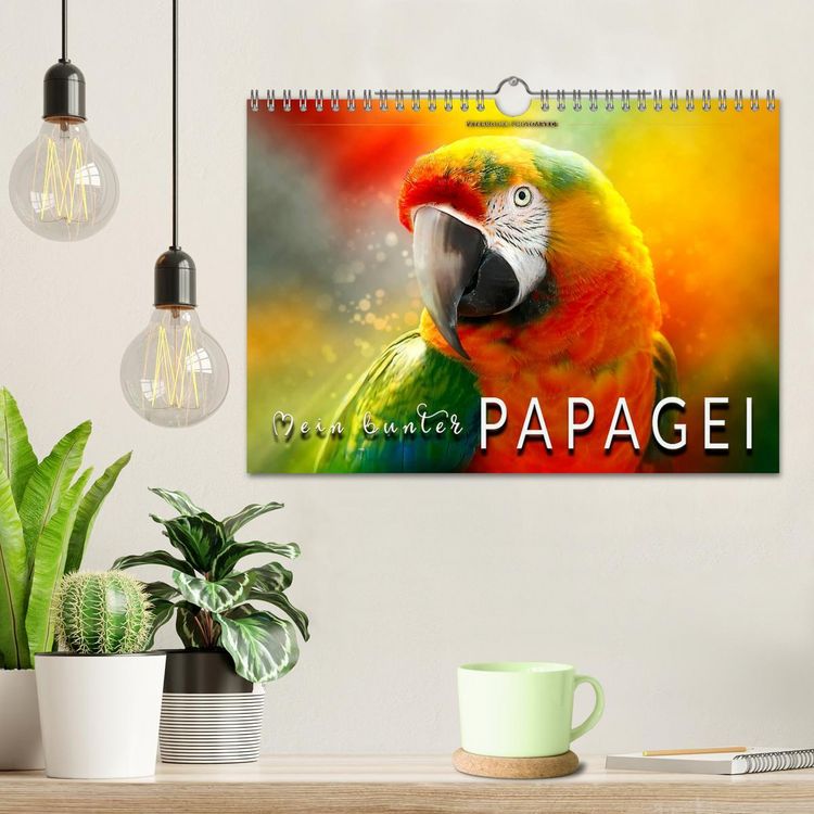 Produktbild: Mein bunter Papagei (Wandkalender 2026 DIN A4 quer), CALVENDO Monatskalender