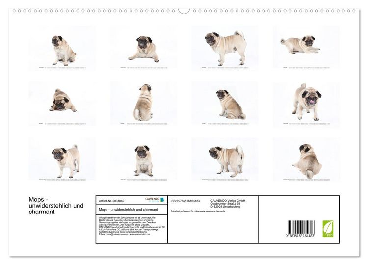 Produktbild: Mops - unwiderstehlich und charmant (hochwertiger Premium Wandkalender 2026 DIN A2 quer), Kunstdruck in Hochglanz