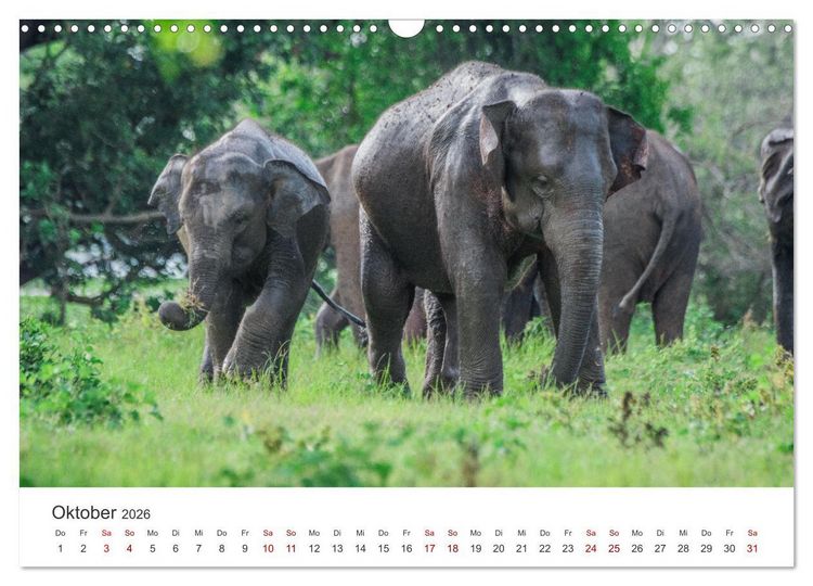 Produktbild: Sri Lanka - Eine einzigartige Trauminsel. (Wandkalender 2026 DIN A3 quer), CALVENDO Monatskalender