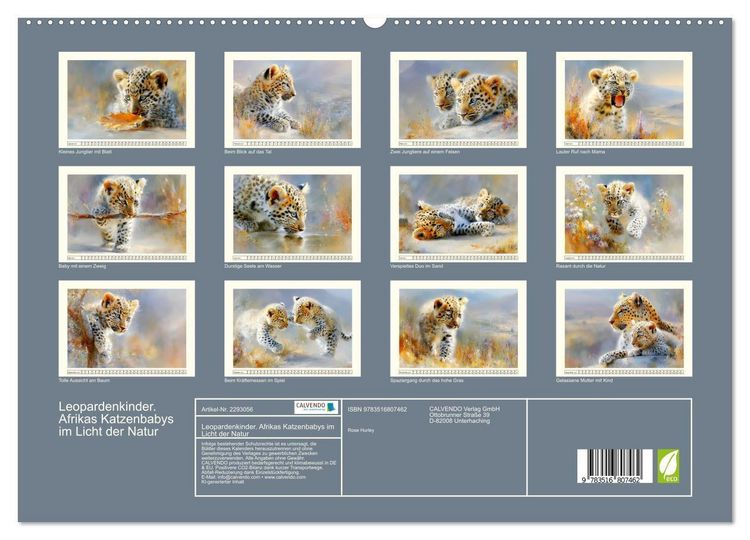 Produktbild: Leopardenkinder. Afrikas Katzenbabys im Licht der Natur (hochwertiger Premium Wandkalender 2027 DIN A2 quer), Kunstdruck in Hochglanz