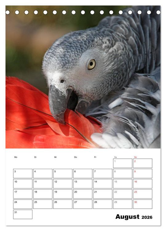 Produktbild: Papageien - Graupapagei, Rosella und Co. (Tischkalender 2026 DIN A5 hoch), CALVENDO Monatskalender
