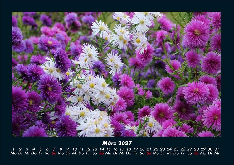 Produktbild: Blumenkalender 2027 Fotokalender DIN A4