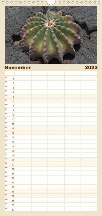 Produktbild: Familienplaner Faszination Kakteen (Wandkalender 2022 , 21 cm x 45 cm, hoch)