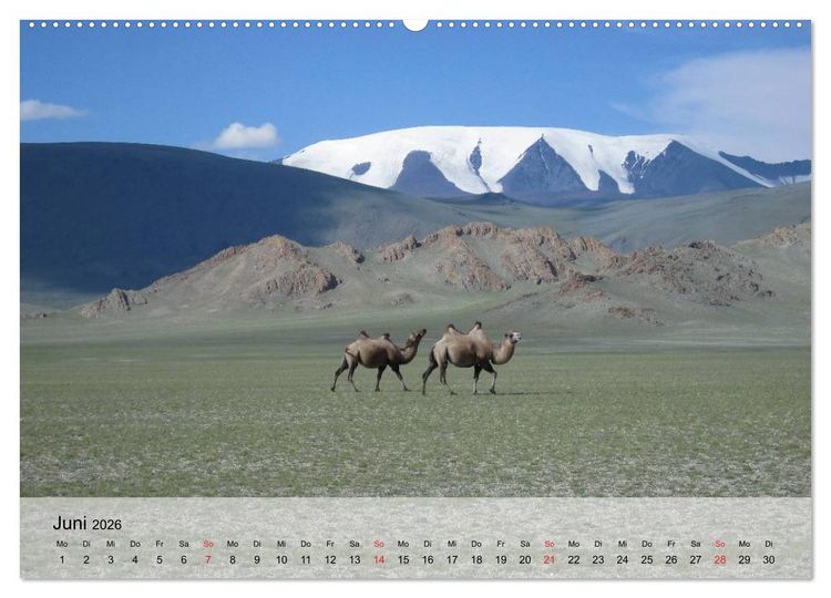 Produktbild: Kamele in der W&uuml;stensonne (Wandkalender 2026 DIN A2 quer), CALVENDO Monatskalender