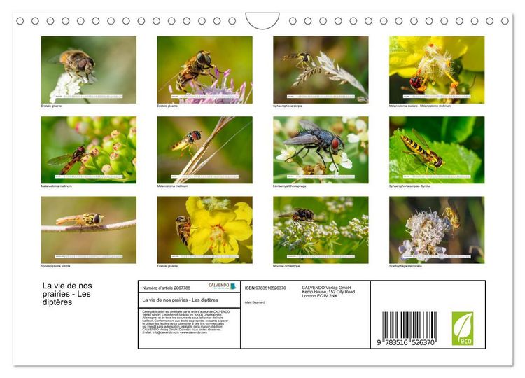 Produktbild: La vie de nos prairies - Les dipt&egrave;res (Calendrier mural 2026 DIN A4 vertical), CALVENDO calendrier mensuel