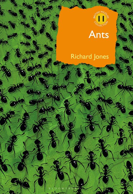 Produktbild: Ants