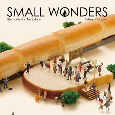 Produktbild: Small Wonders - Life Portrait in Miniature