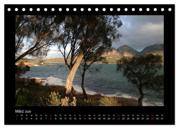 Produktbild: W&auml;lder, fotografiert auf vier Kontinenten (Tischkalender 2026 DIN A5 quer), CALVENDO Monatskalender