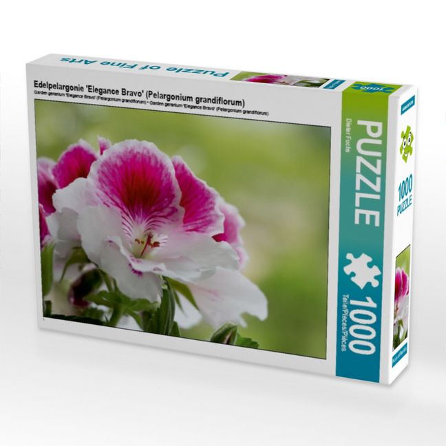 Produktbild: CALVENDO Puzzle Edelpelargonie 'Elegance Bravo' (Pelargonium grandiflorum) | 1000 Teile Lege-Gr&ouml;&szlig;e 64x48cm Foto-Puzzle f&uuml;r gl&uuml;ckliche Stunden