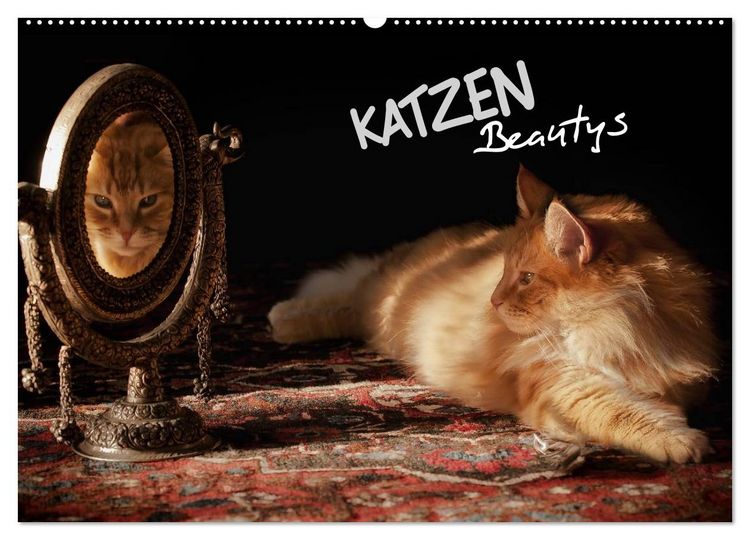 Produktbild: KATZEN Beautys (Wandkalender 2026 DIN A2 quer), CALVENDO Monatskalender