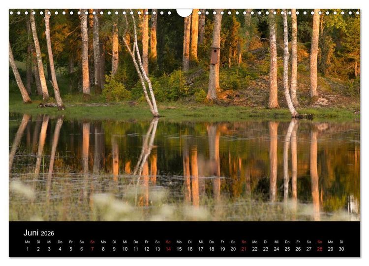 Produktbild: Schweden im Wechsel der Jahreszeiten (Wandkalender 2026 DIN A3 quer), CALVENDO Monatskalender