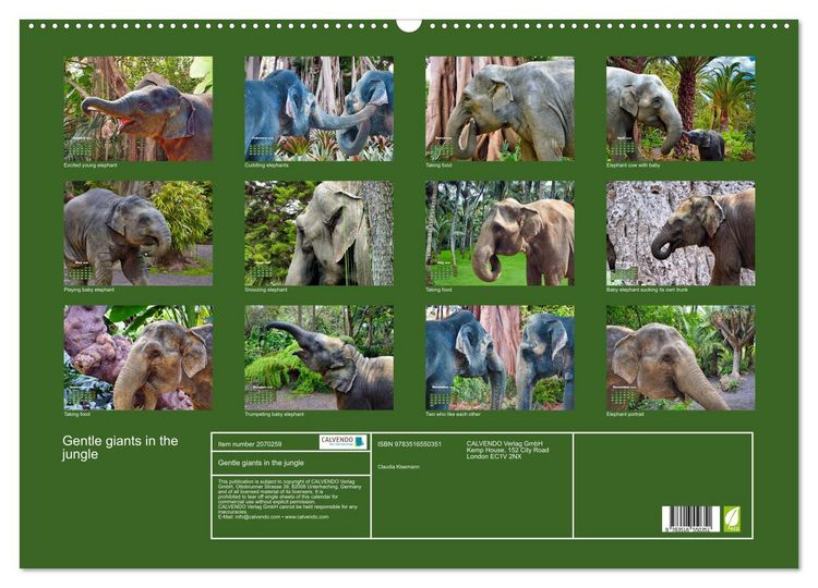 Produktbild: Gentle giants in the jungle (Wall Calendar 2026 DIN A2 landscape), CALVENDO 12 Month Wall Calendar