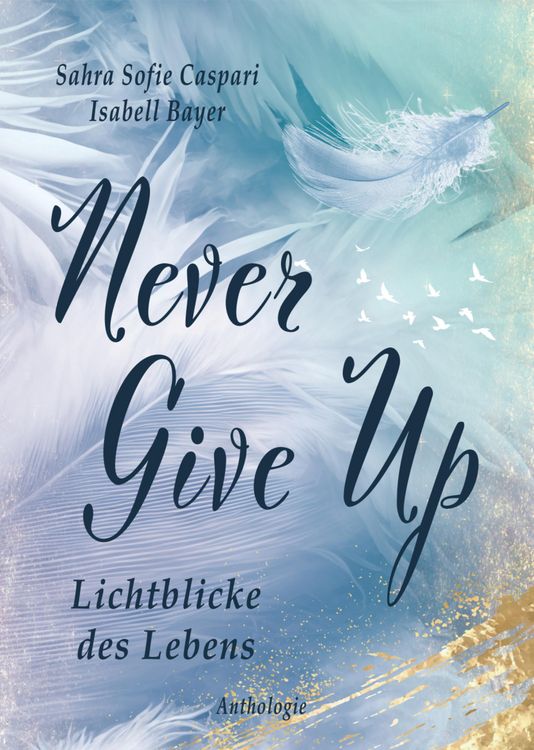 Produktbild: Never Give Up