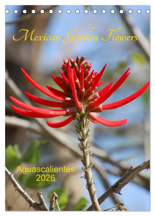 Produktbild: Mexican Garden Flowers - Aguascalientes (Desk Calendar 2026 DIN A5 portrait), CALVENDO 12 Month DeskCalendar