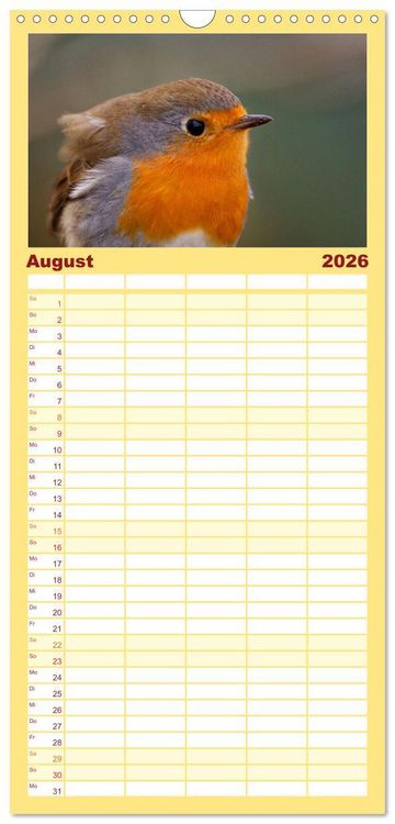 Produktbild: Familienplaner 2026 - Rotkehlchen - Fotografiert von Ostfriesenfotografie mit 5 Spalten (Wandkalender, 21 x 45 cm) CALVENDO