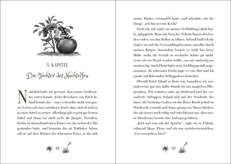 Produktbild: Ruby Fairygale (Band 5) - Der verbotene Zauber