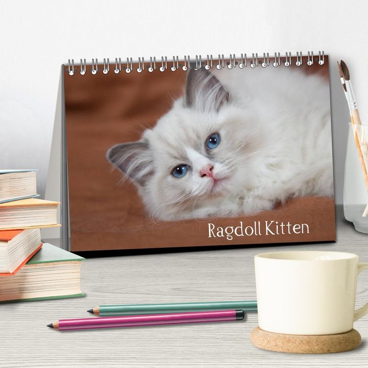 Produktbild: Ragdoll Kitten (Tischkalender 2026 DIN A5 quer), CALVENDO Monatskalender