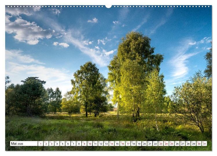 Produktbild: L&uuml;neburger Heide: Die Nordheide (hochwertiger Premium Wandkalender 2026 DIN A2 quer), Kunstdruck in Hochglanz