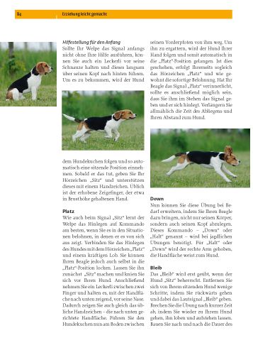 Produktbild: Beagle