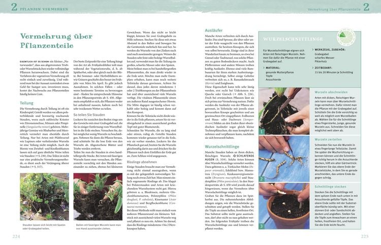 Produktbild: Das gro&szlig;e GU Praxishandbuch Garten