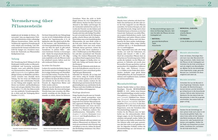 Das große Praxishandbuch Garten