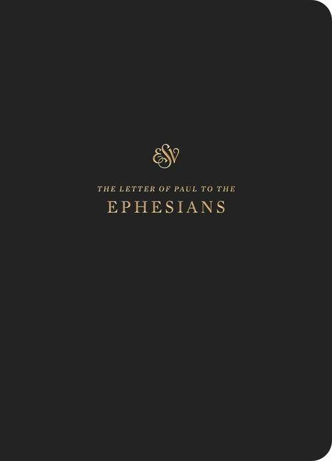 Produktbild: ESV Scripture Journal