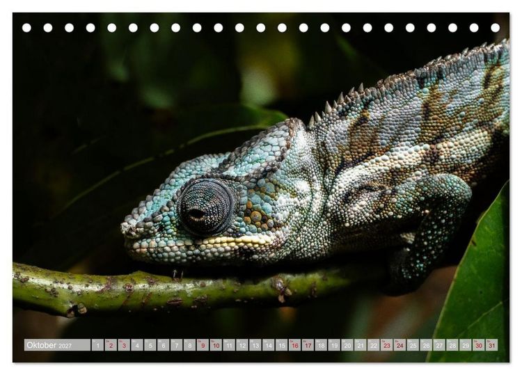 Produktbild: Wildnis Madagaskar (Tischkalender 2027 DIN A5 quer), CALVENDO Monatskalender