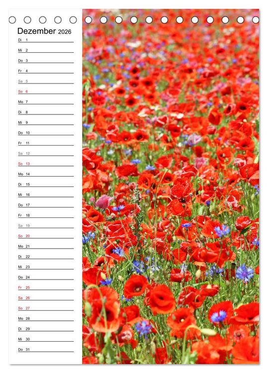 Produktbild: Mohn, zarte Bl&uuml;ten, starke Farben, der Geburtstagskalender (Tischkalender 2026 DIN A5 hoch), CALVENDO Monatskalender