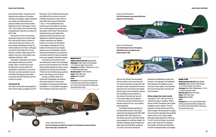 Produktbild: American Fighter Aircraft of World War II