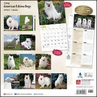 Produktbild: American Eskimo Dogs Calendar
