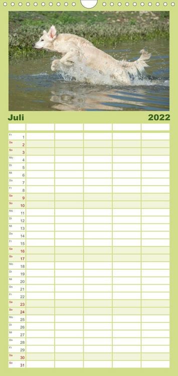 Produktbild: Familienplaner Golden Retriever (Wandkalender 2022 , 21 cm x 45 cm, hoch)