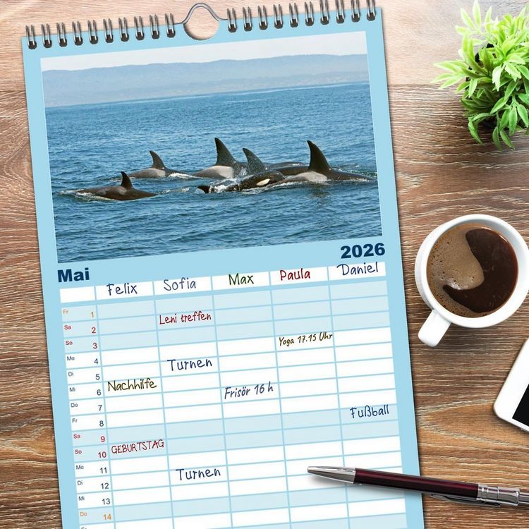 Produktbild: Familienplaner 2026 - Orcas: Schwarz-wei&szlig;e Giganten mit 5 Spalten (Wandkalender, 21 x 45 cm) CALVENDO
