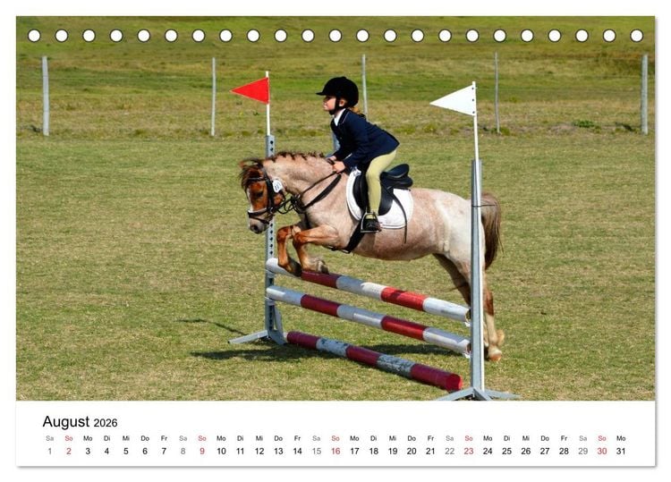 Produktbild: Vielseitigkeitsreiten (Tischkalender 2026 DIN A5 quer), CALVENDO Monatskalender