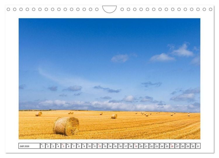 Produktbild: Das Weinviertel - Im Norden von Wien (Wandkalender 2026 DIN A4 quer), CALVENDO Monatskalender