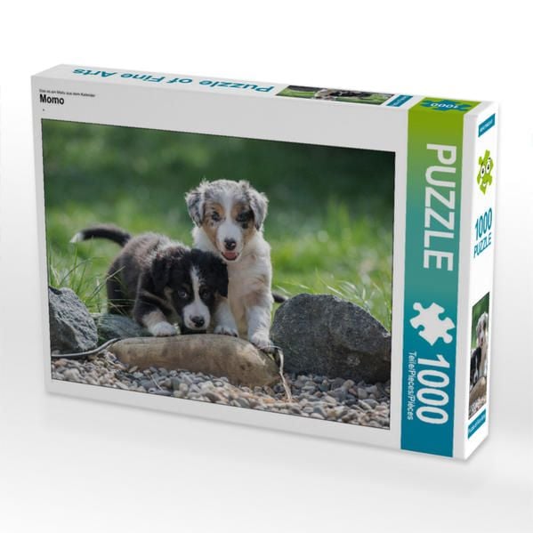 Produktbild: CALVENDO Puzzle Momo | 1000 Teile Lege-Gr&ouml;&szlig;e 64x48cm Foto-Puzzle f&uuml;r gl&uuml;ckliche Stunden