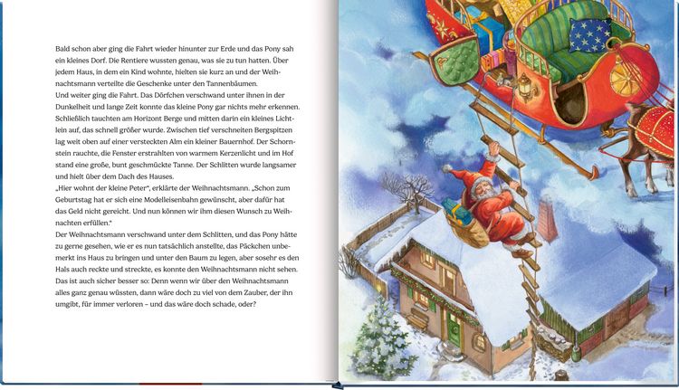 Produktbild: Das Weihnachtspony