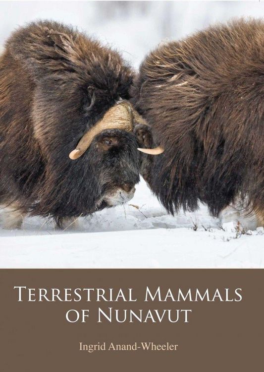 Produktbild: Terrestrial Mammals of Nunavut