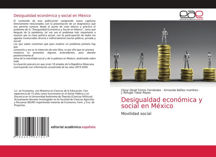 Produktbild: Desigualdad econ&oacute;mica y social en M&eacute;xico
