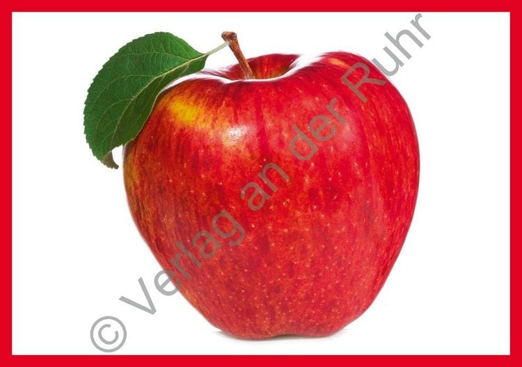 Produktbild: Grundwortschatz &ndash; Obst und Gem&uuml;se