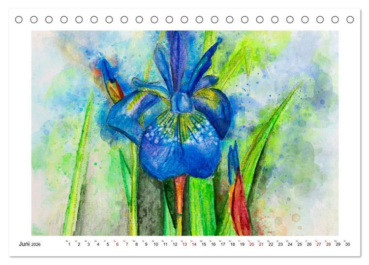 Produktbild: Bl&uuml;ten & Blumen Aquarelle - Farbenfrohe Sch&ouml;nheiten (Tischkalender 2026 DIN A5 quer), CALVENDO Monatskalender