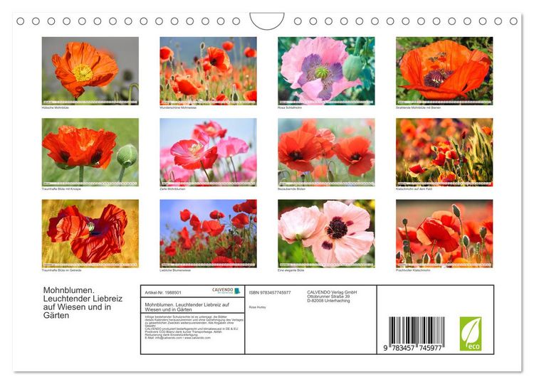 Produktbild: Mohnblumen. Leuchtender Liebreiz auf Wiesen und in G&auml;rten (Wandkalender 2026 DIN A4 quer), CALVENDO Monatskalender