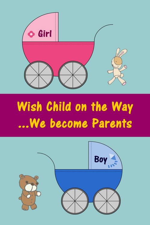 Produktbild: Wish Child on the Way...We become Parents