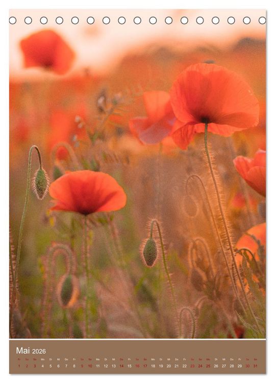 Produktbild: Mohnblumen - kraftvoll und zart (Tischkalender 2026 DIN A5 hoch), CALVENDO Monatskalender