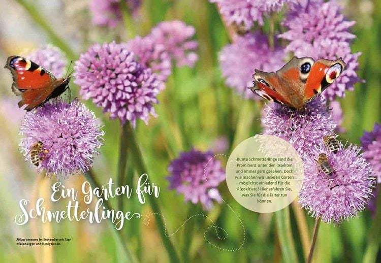 Produktbild: Mein Schmetterlingsgarten
