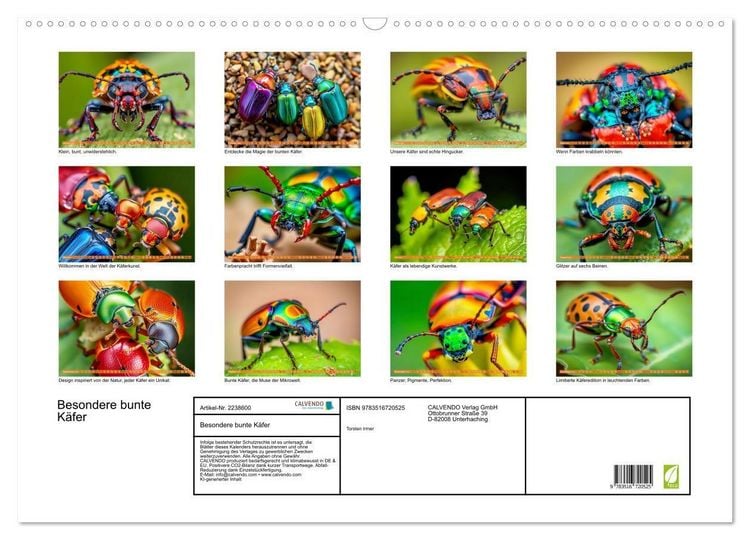 Produktbild: Besondere bunte K&auml;fer (Wandkalender 2026 DIN A2 quer), CALVENDO Monatskalender